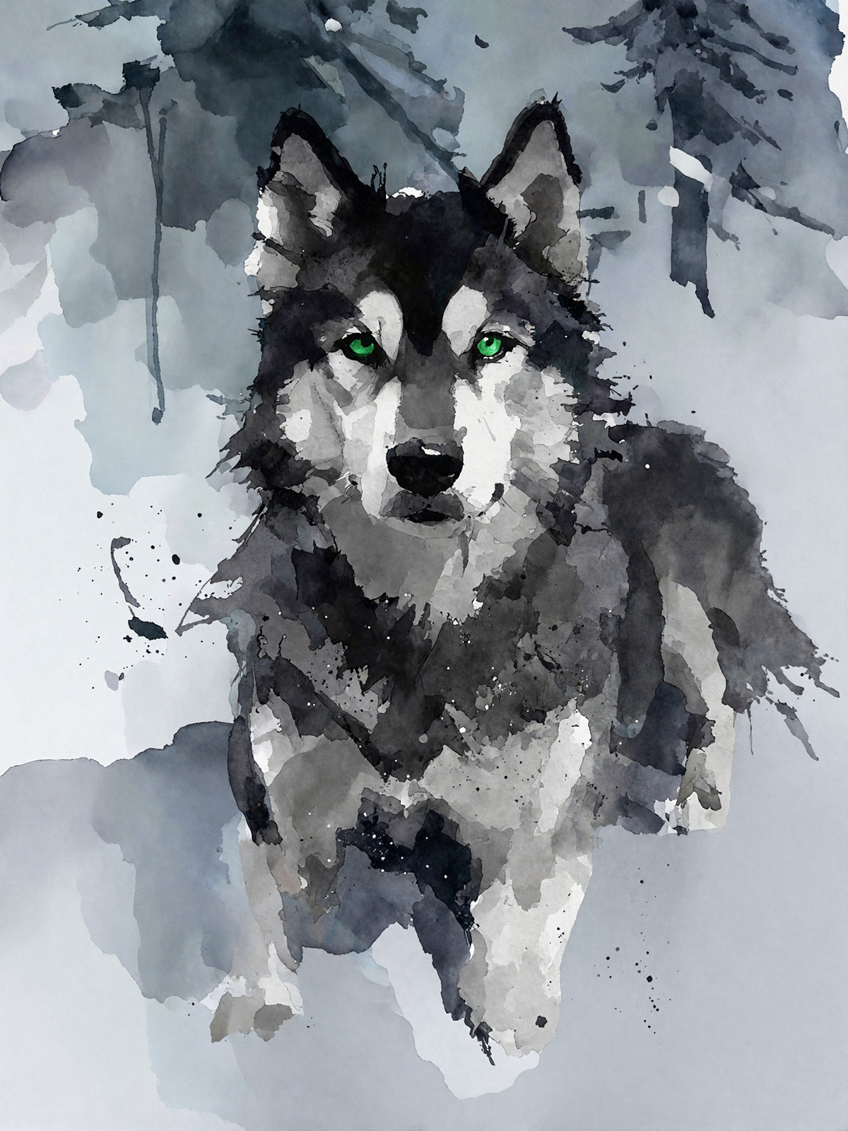 214-1762-Husky-mit grünen-Augen-galerie-qualitaet-glasbild